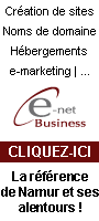 Cration de sites Internet, noms de domaine, hbergement, rfrencements chez E-net Business... Rfrence  Namur